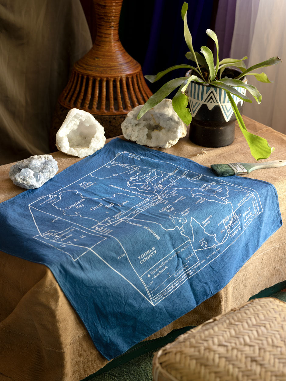 The Great Salt Lake Bandana, with a visible screen-printed map, surrounded by rocks, minerals, and plants.